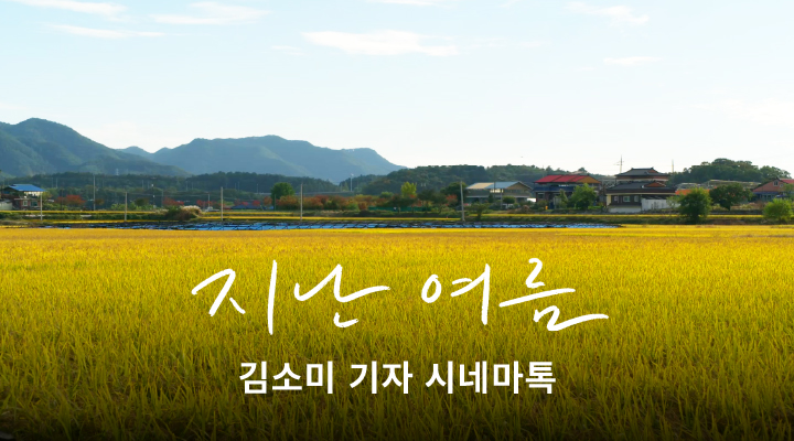 [지난 여름] 시네마톡 이미지