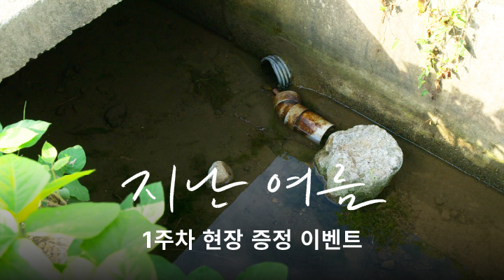 [지난 여름] 1주차 현장이벤트 이미지